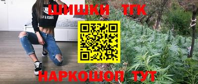 дмт Будённовск