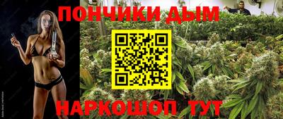 дмт Будённовск
