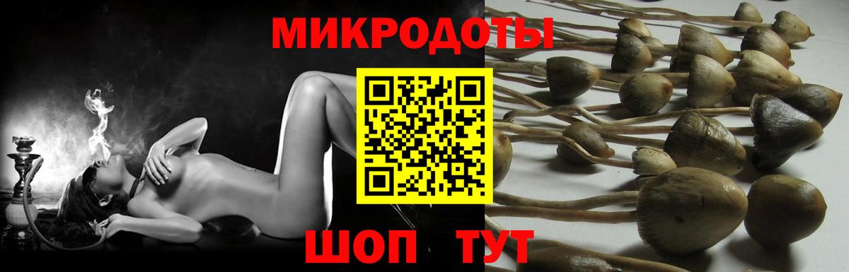 Новосибирск  наркота  Вход с VPN  Псилоцибиновые грибы Magic Shrooms 